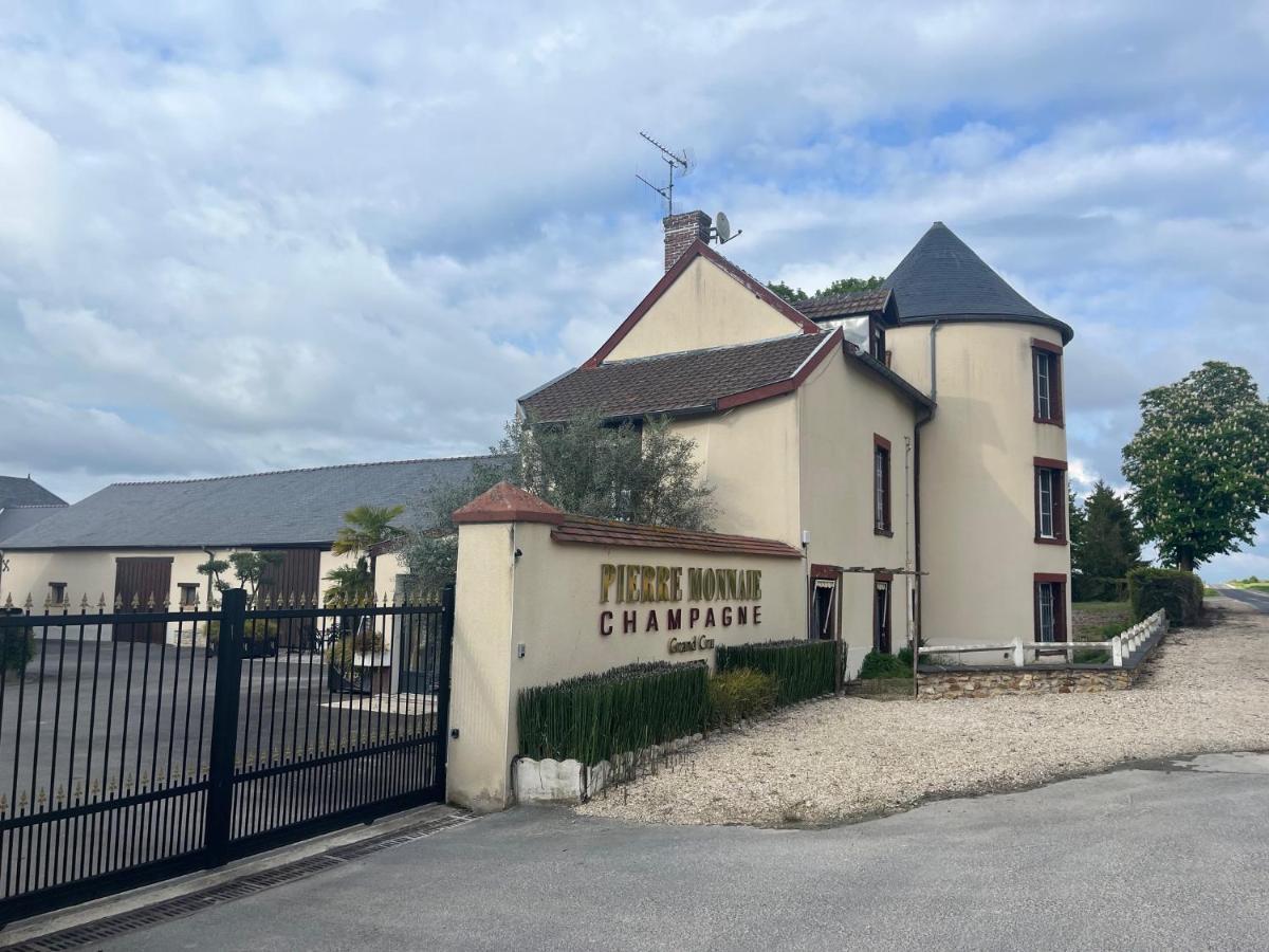 Villa Domaine Pierre Monnaie Verzy Esterno foto